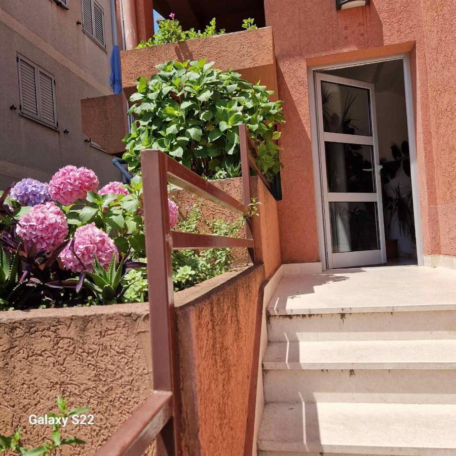 Anika Apartman